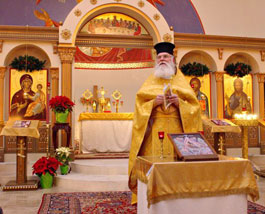 Fr. Matthew in church